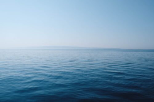 海